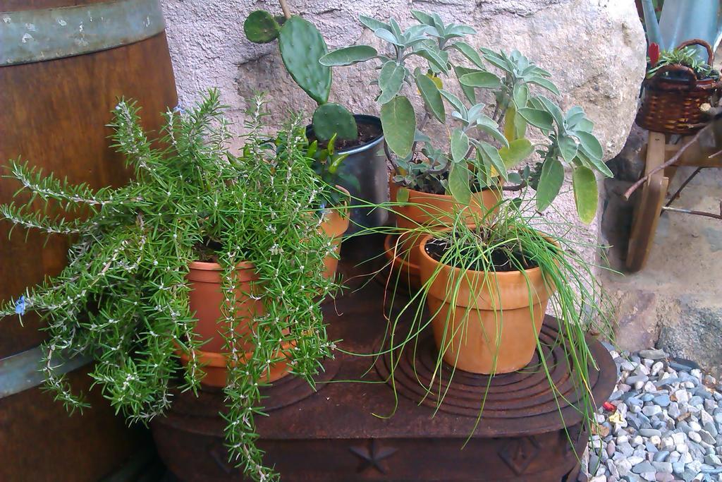 B&B Villa Ca'Praja Daone Extérieur photo